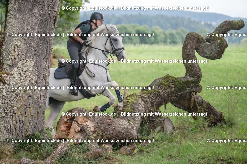 20250726_Vielseitigkeitslehrgang-Marbach_0581 | Foto: Thomas Hartig