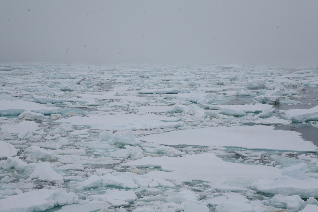 IMG_6012 | Antarktis / Antarctica - Realisiert mit Pictrs.com