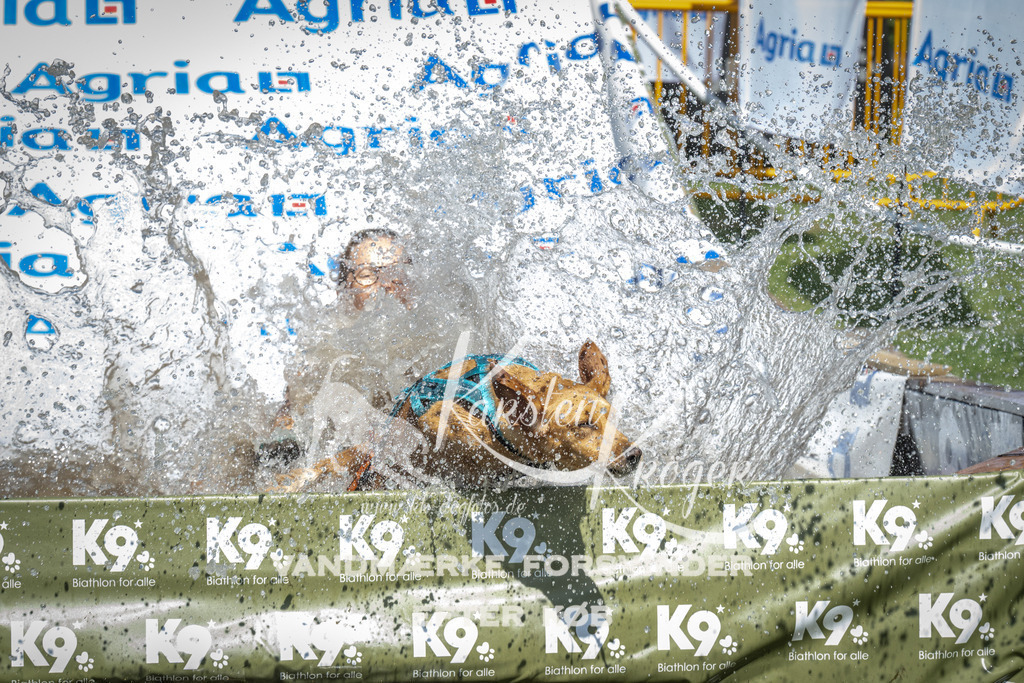 1442_ZZ95656 | kk-dogfotos