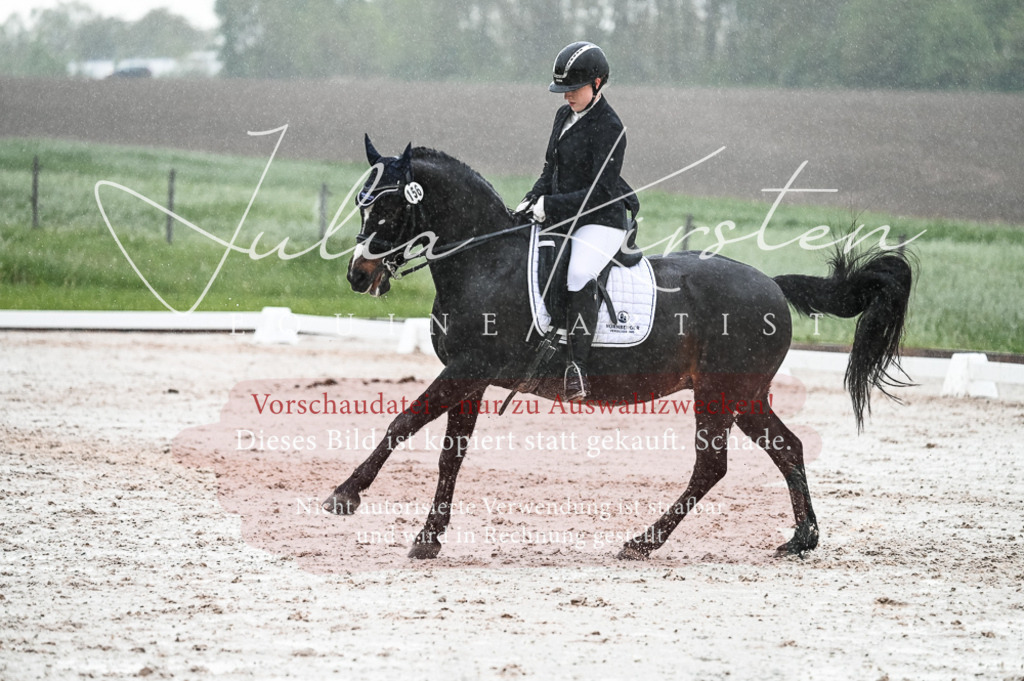 DSC_4669 | Pferde- und Turnierfotografie in Westsachsen. Pferdeportraits, Auftragszeichnungen und intuitive Kunst.
