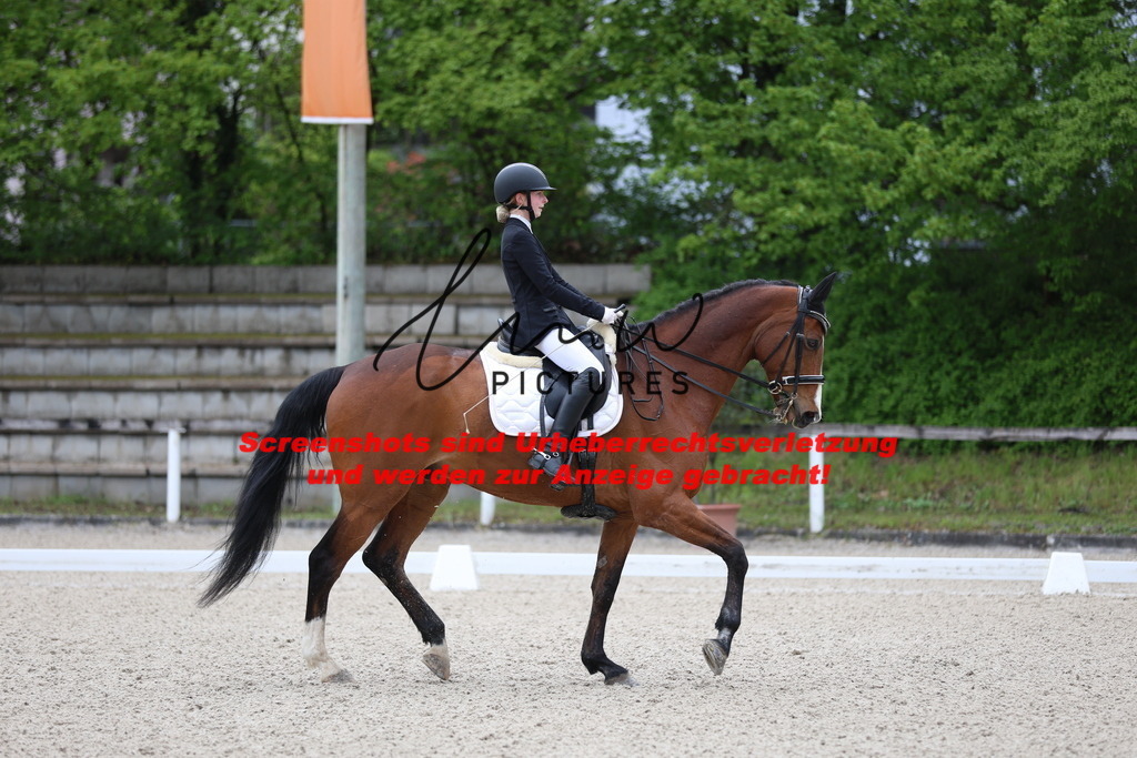 A40A0736 | lmwpictures - Realisiert mit Pictrs.com