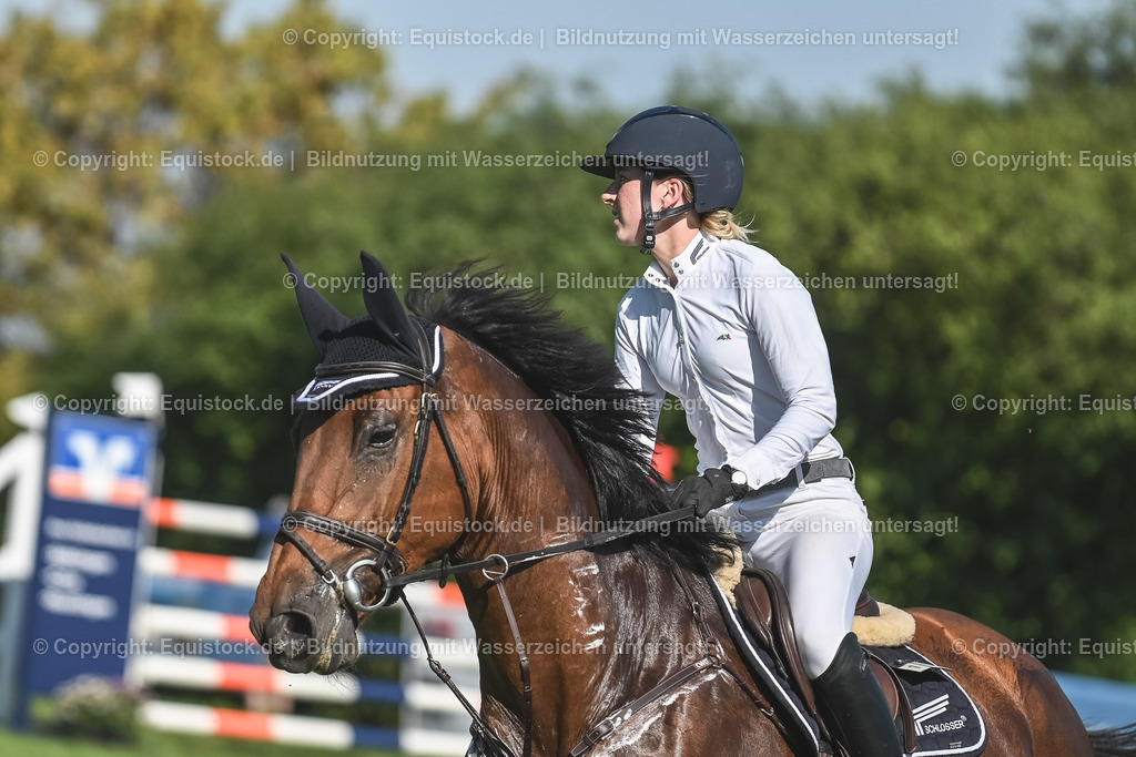 20230908_24_Springen_M_0013 | equistock
