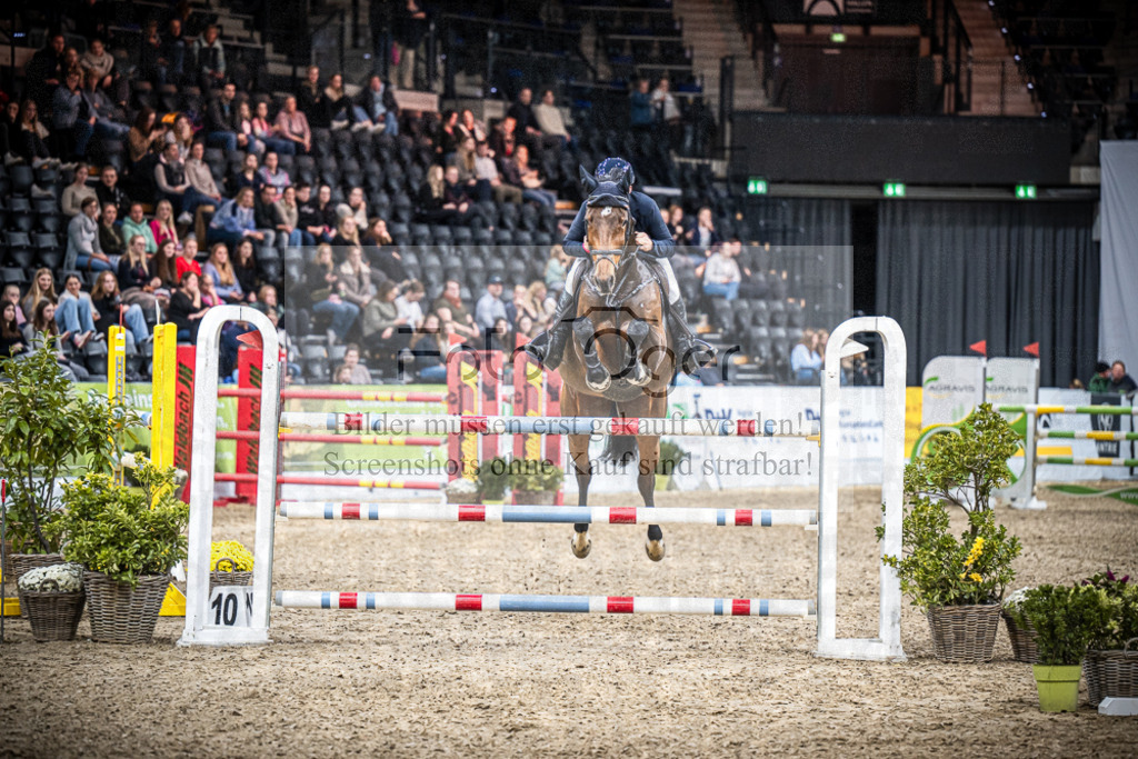 DOS_3046 | Entdecke hochwertige Reitturnierfotos von Foto Oger. Professionell, emotional und authentisch – jetzt Lieblingsmomente im Shop bestellen.Deutschlandweite Turnierfotografie. - Realisiert mit Pictrs.com