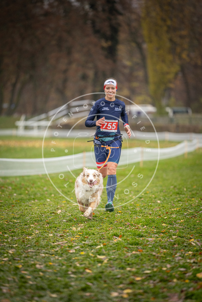 CaniXpix_DV3A9546 | Hundefotografie, Tierfotograf, Pfotenfotografie, Fotoshooting Hund, Hunde Portrait, Hundesport, Hundeportraits, Heideshooting, Hunde, Sportfotograf, Hundefotograf, Turnierhundsport, THS,  - Realisiert mit Pictrs.com