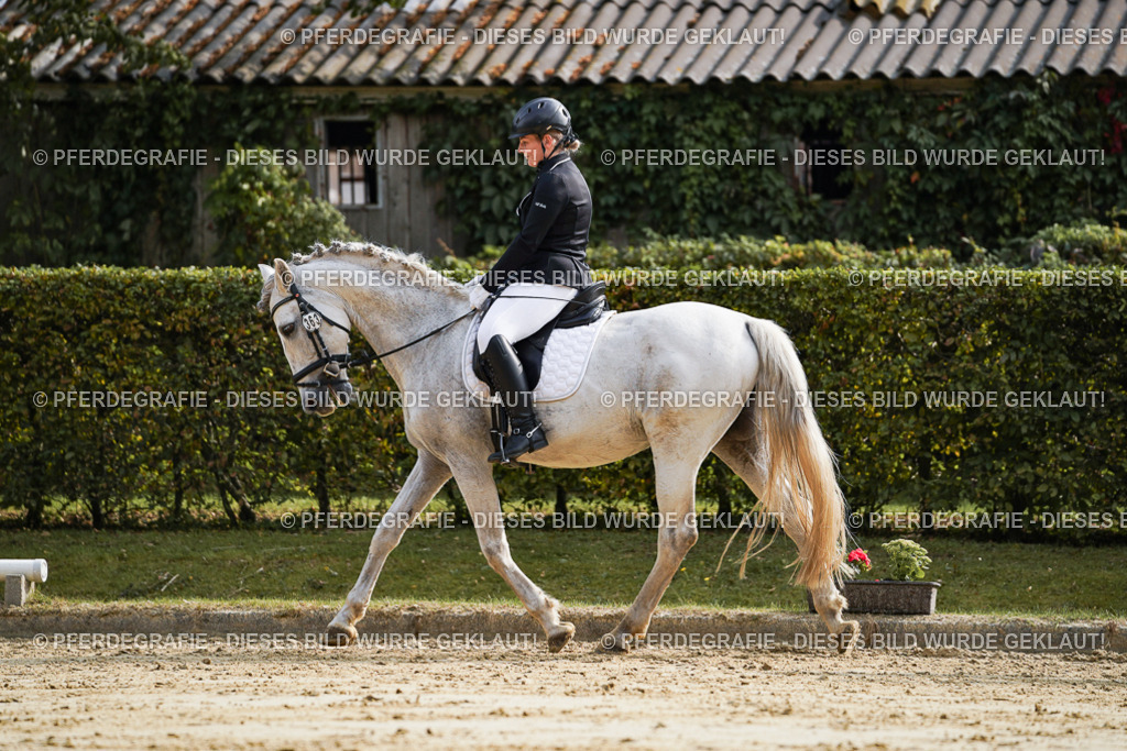 DSC04257 | Pferdegrafie