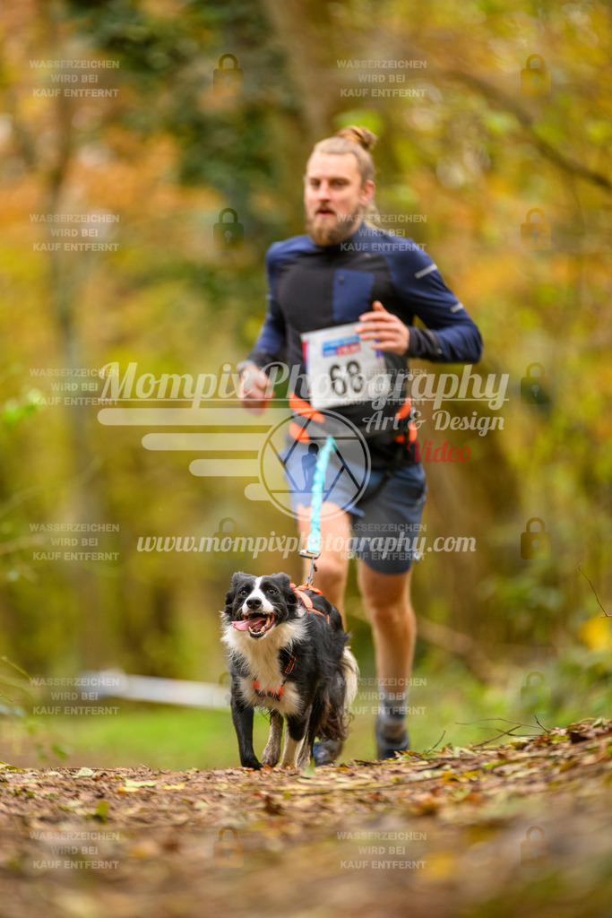 MompixPhotography_Bischwiller24_SA_Canicross-77 | PayLife