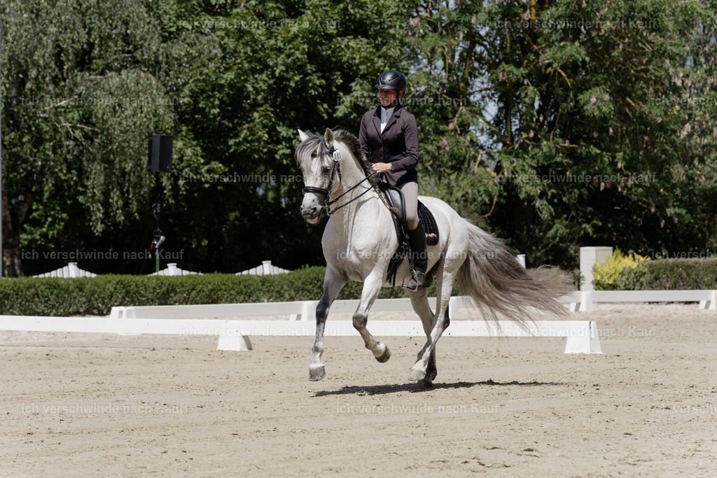 WS_DR_83_sinafilmart_IN08812 | working equitationturnier fotograf videograf stoibphotography marixx film working equitation deutschland reitsport turnierfotografie eventfotografie equestrian events
