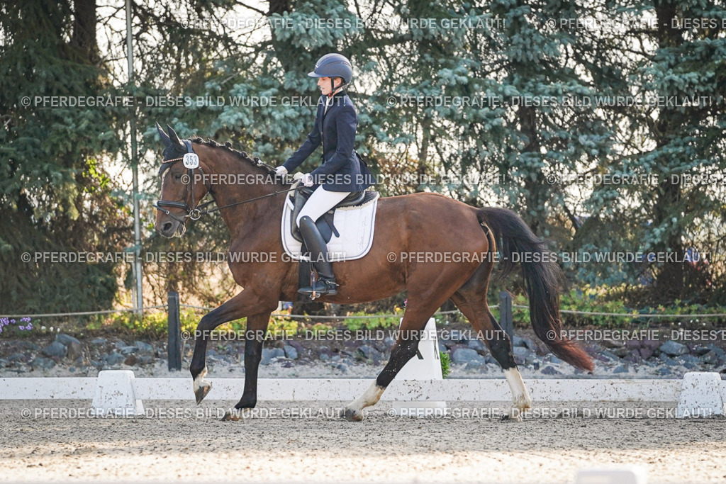 DSC07894 | Pferdegrafie