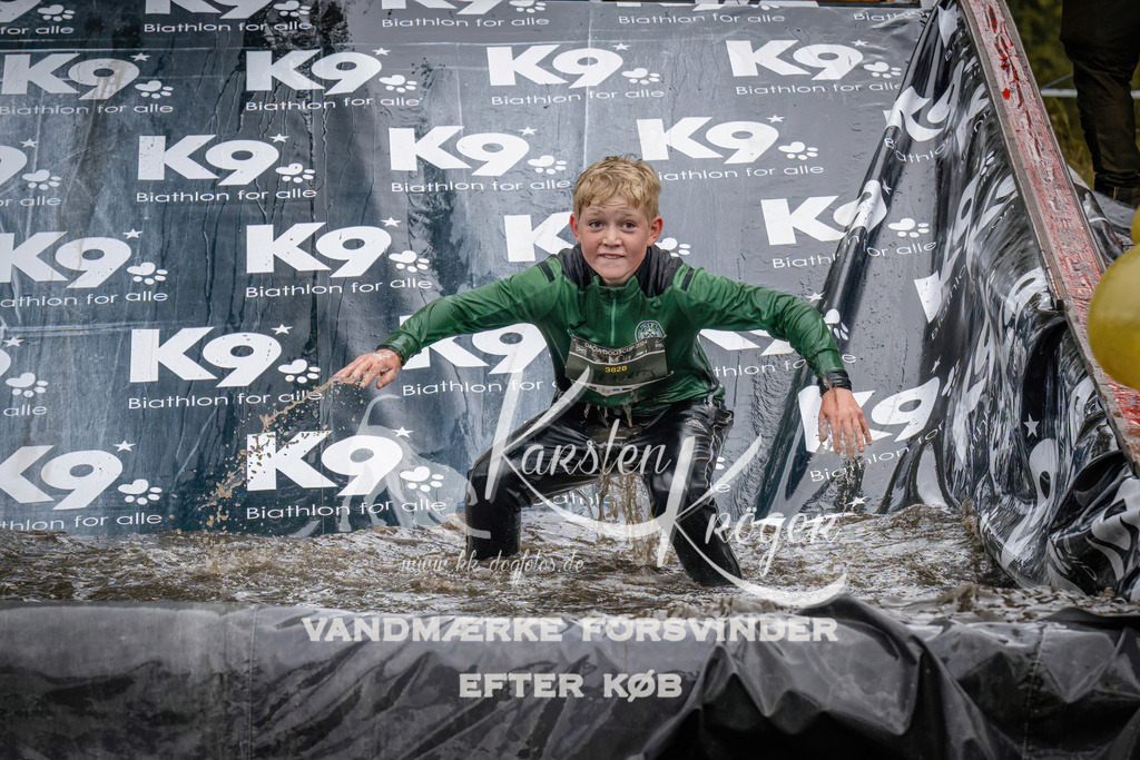1204_ZZ94266 | kk-dogfotos