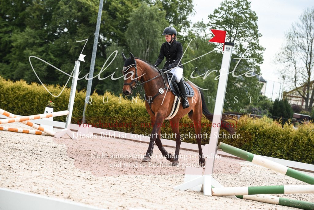 20230518_JK-Röhrsdorf-10-343 | Pferde- und Turnierfotografie in Westsachsen. Pferdeportraits, Auftragszeichnungen und intuitive Kunst.