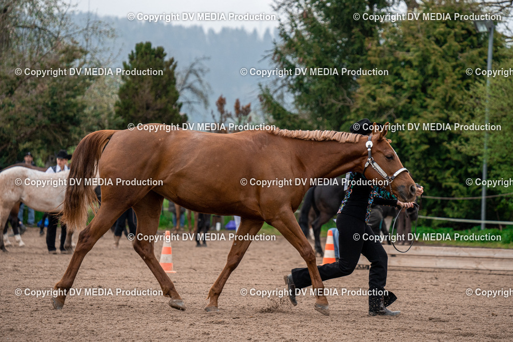 BA300075 | dv-media-shop - Realisiert mit Pictrs.com