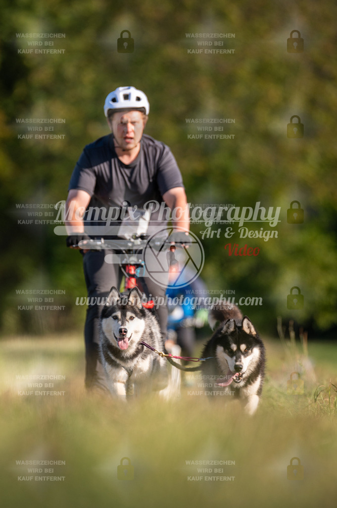 CDLBDB_15_10_2023_Dimanche-361 | mompixphotography