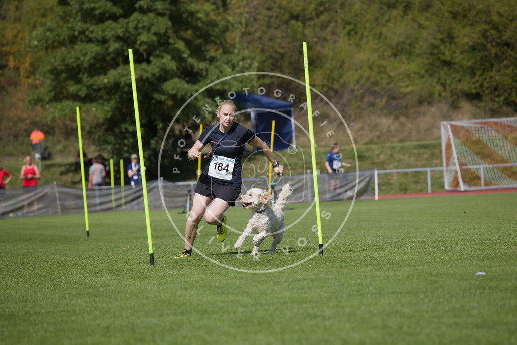 0L8A3375 | Hundefotografie, Tierfotograf, Pfotenfotografie, Fotoshooting Hund, Hunde Portrait, Hundesport, Hundeportraits, Heideshooting, Hunde, Sportfotograf, Hundefotograf, Turnierhundsport, THS,  - Realisiert mit Pictrs.com