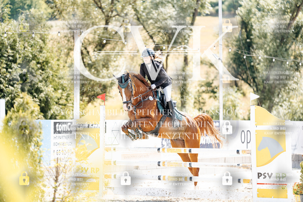 CK909377 | Turnierfotografie Pferdefotografie Trier Rheinland-Pfalz Pferdesport Reitsport Tierfotografie Sportfotografie Pferdevideo Pferdevideografie Equestrianvideography equestrianphotography  - Realisiert mit Pictrs.com