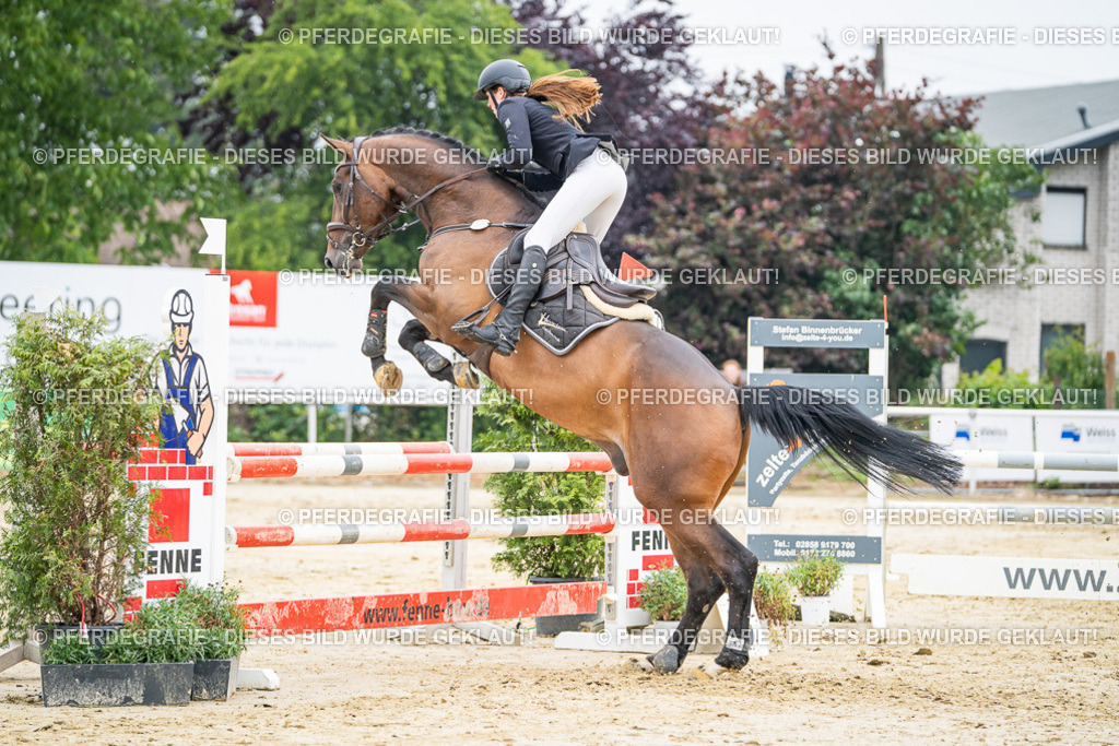 DSC00395 | Pferdegrafie