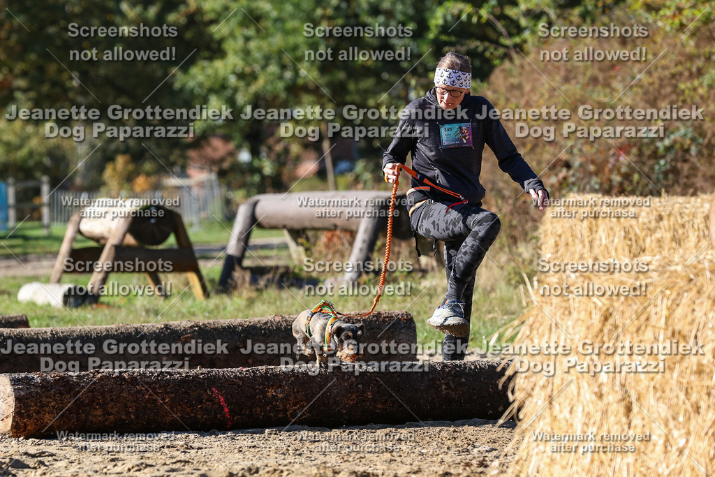 Dog Paparazzi - Strongdog 10-25-2550 | Dog Paparazzi Jeanette Grottendiek Fotografie & Videografie - Realisiert mit Pictrs.com