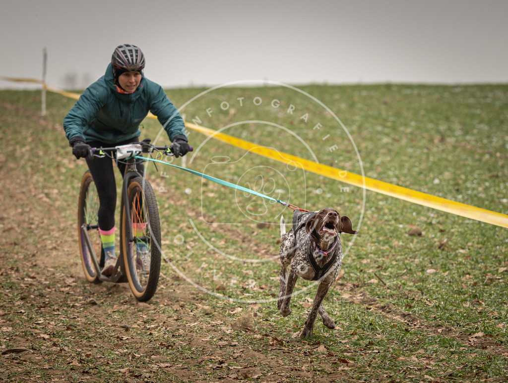 Pfotenfotografie_DV3A3573 | Hundefotografie, Tierfotograf, Pfotenfotografie, Fotoshooting Hund, Hunde Portrait, Hundesport, Hundeportraits, Heideshooting, Hunde, Sportfotograf, Hundefotograf, Turnierhundsport, THS,  - Realisiert mit Pictrs.com