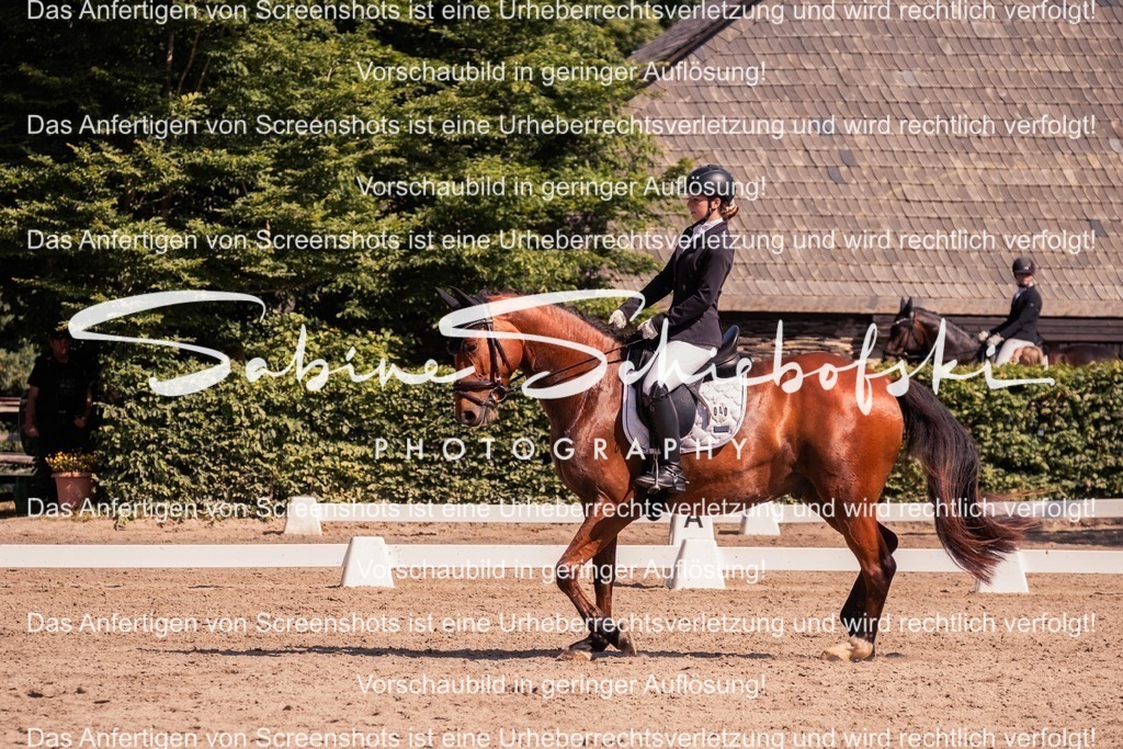 2025_05_31_DSCF3067 | People- und Tierfotografie, Imageaufnahmen, Veranstaltungsfotografie und Wandbilder aus der Natur ★ Made in Germany ✔️ Druck + Downloads ✔️ Naturfotografie in Top Qualität ★ schneller Versand, weltweite Lieferung! - Realisiert mit Pictrs.com