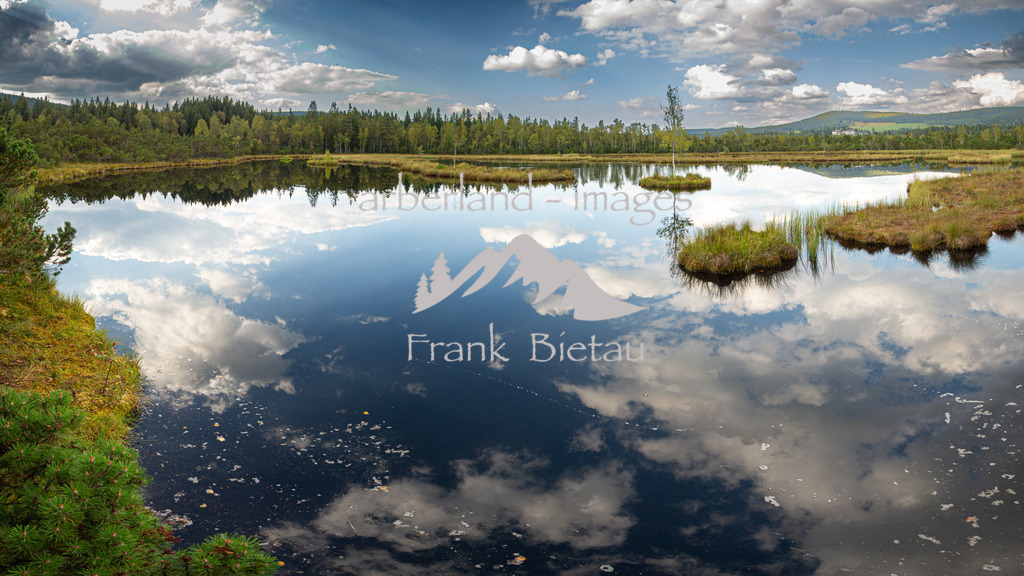 _Z5A0268-Pano | eines der meistbesuchten Hochmoore im Nationalpark