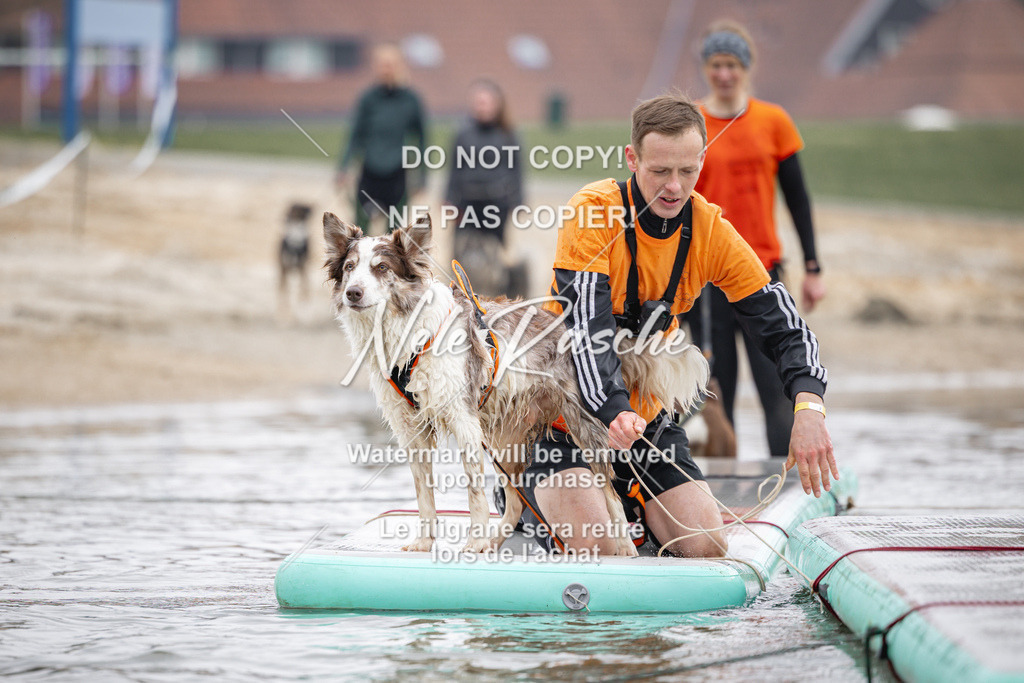 nelerasche_Hulsbeek_Sa1100-1130_603 | nelerasche