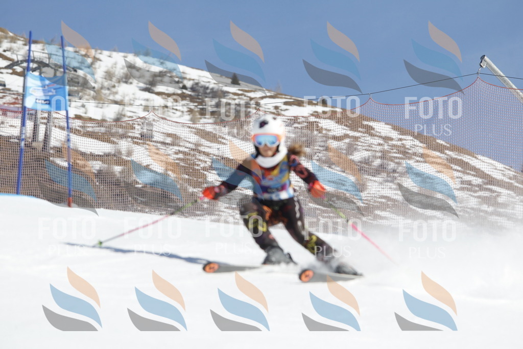 _U3G8706 | holidayphoto