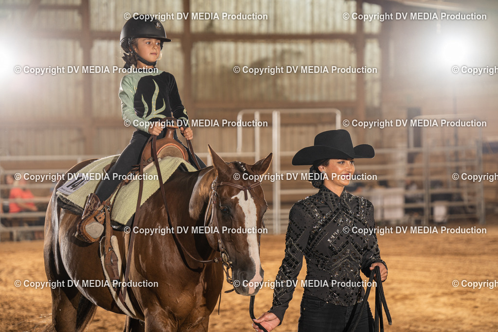 NID03313 | dv-media-shop - Realisiert mit Pictrs.com