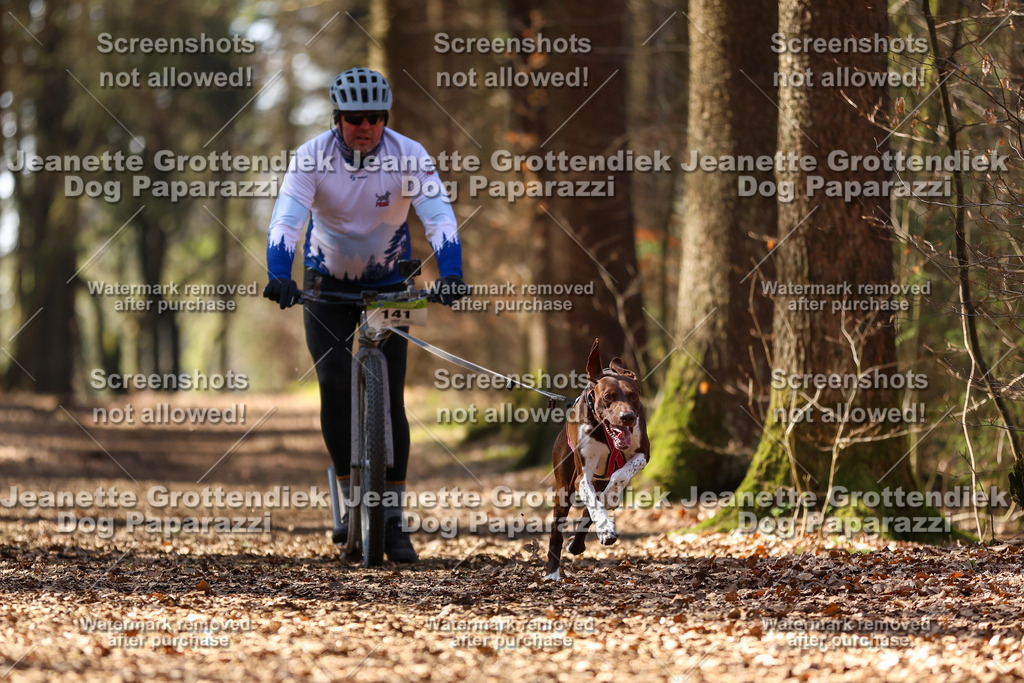 Dog Paparazzi - VCC26-1245 | Dog Paparazzi Jeanette Grottendiek Fotografie & Videografie - Realisiert mit Pictrs.com