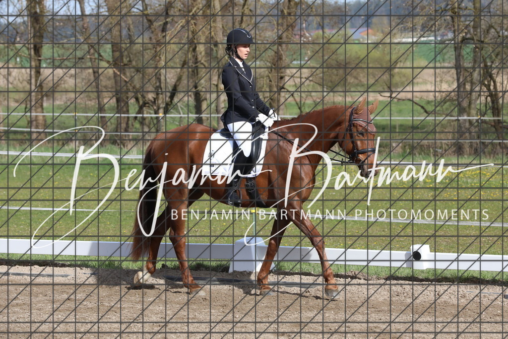 AZ2A2835 | Benjamin Bartmann Photomoments