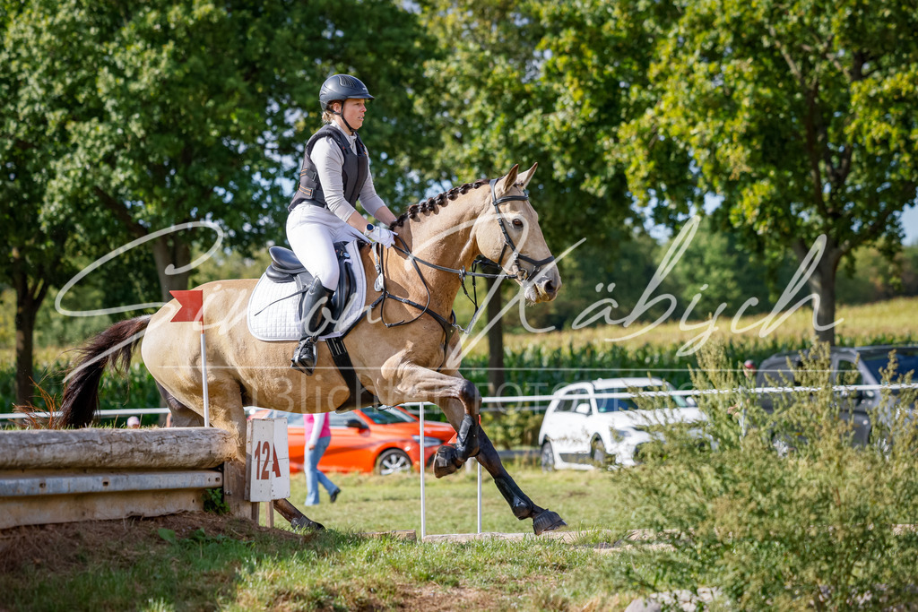 20250905-_3LI1158 | Tierfotografie Pferde, Hunde, Katzen, Haustiere.
Turnierfotografie Reitturniere, Reiten, Springreiten, Dressur in Hanau, dem Main-Kinzig-Kreis und dem Rhein-Main- Gebiet um Frankfurt