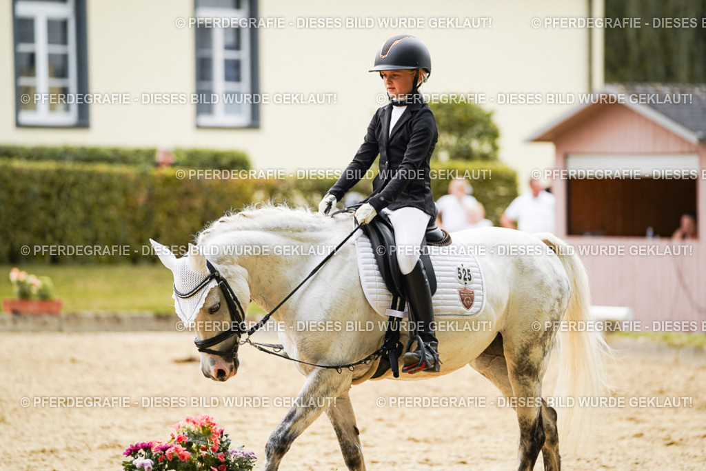 DSC09449 | Pferdegrafie