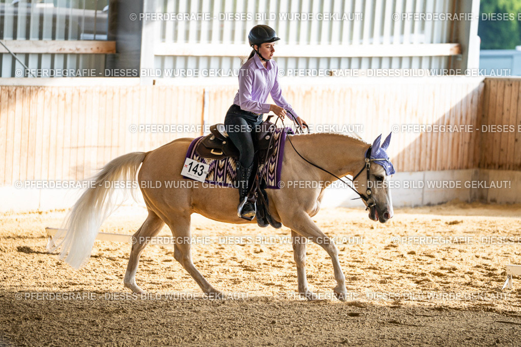 DSC07727 | Pferdegrafie