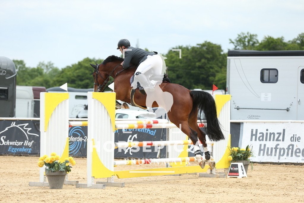 DL2Q2342 | Willkommen bei Brunnmayr - Design & Fotografie – Ihrem Spezialisten für Reitturniere und Pferdeveranstaltungen in Oberösterreich, Salzburg und Bayern! Seit über 17 Jahren sind wir leidenschaftlich dabei.