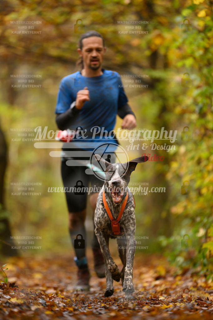 MompixPhotography_CD7S_DI_CCL-54 | mompixphotography