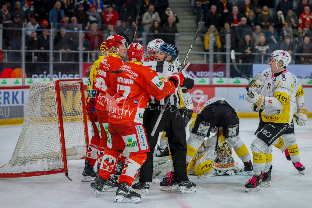 EHCB vs HCA 20260127_wb-9660 | Sportbilder, Sportfotograf, Hochzeits- und Eventfotografin, Flugshows, Portraits und Tiershooting, Aviation, Downhill, Nationalleague, Swissleague, International