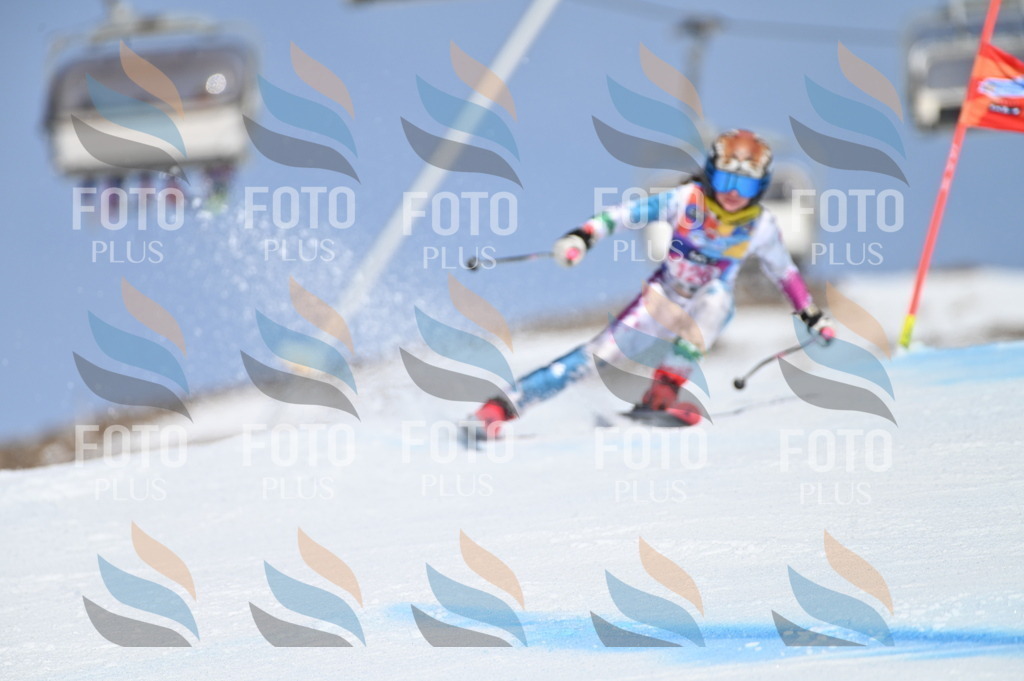 BGV_9908 | holidayphoto