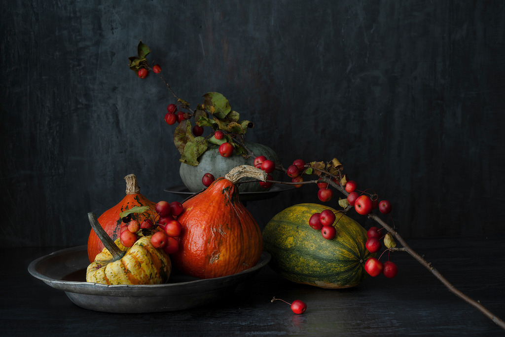 Herbstfarben | Arrangement aus Kürbissen und roten Beeren liegt in sanftem Licht. Die kräftigen Farben leuchten vor dem dunklen Hintergrund und verleihen dem Stillleben eine ruhige Tiefe.  - Realisiert mit Pictrs.com