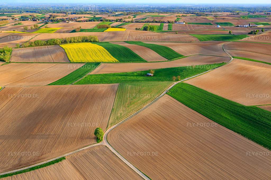 Luftbild: Felder und Wiesen in Niederlauterbach im Bundesland Bas-Rhin in Frankreich.Foto: IMG_078021.jpg vom 24.04.2015 durch Werner Riehm/FLY-FOTO.deAuflösung des Originals: 5472 x 3648 px
