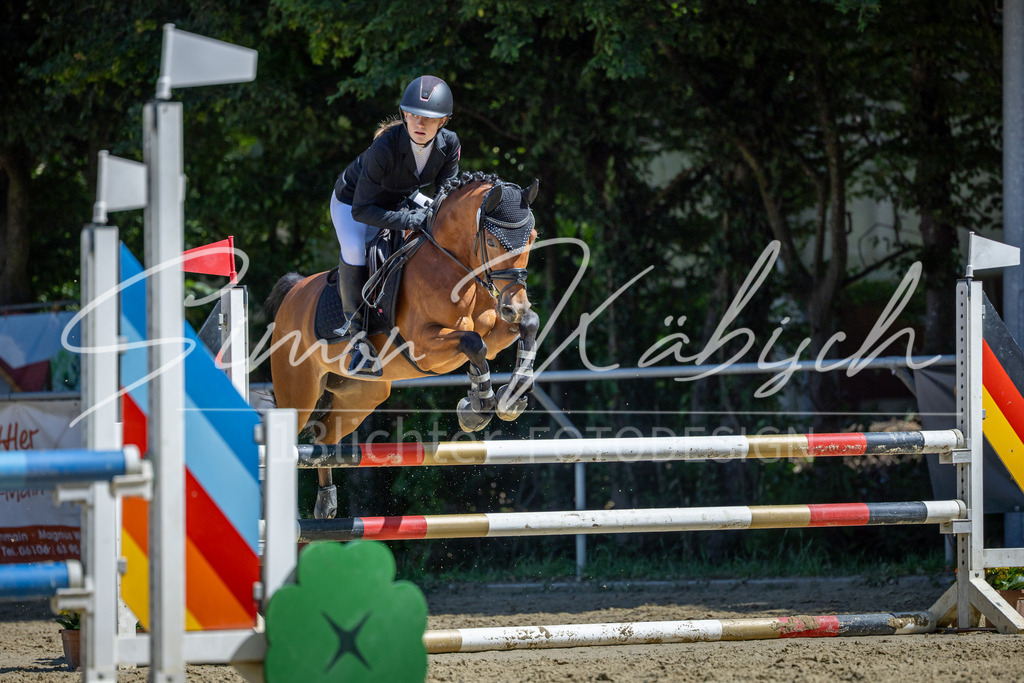 20260704-_3LI8051 | Tierfotografie Pferde, Hunde, Katzen, Haustiere.
Turnierfotografie Reitturniere, Reiten, Springreiten, Dressur in Hanau, dem Main-Kinzig-Kreis und dem Rhein-Main- Gebiet um Frankfurt