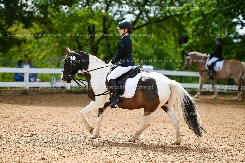 20230716_10-2_Reiter-WB Schritt - Trab - Galopp_0173 | equistock