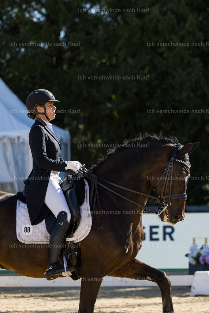 FHC2026_P07_88_17594 | working equitationturnier fotograf videograf stoibphotography marixx film working equitation deutschland reitsport turnierfotografie eventfotografie equestrian events