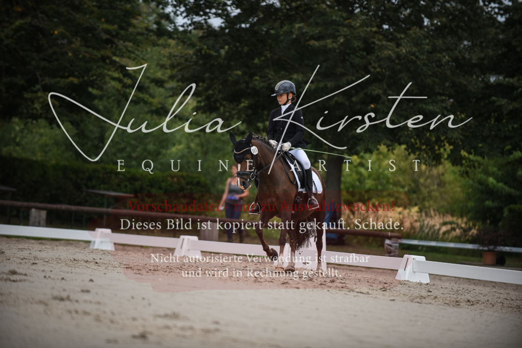DSC_8145 | Pferde- und Turnierfotografie in Westsachsen. Pferdeportraits, Auftragszeichnungen und intuitive Kunst.