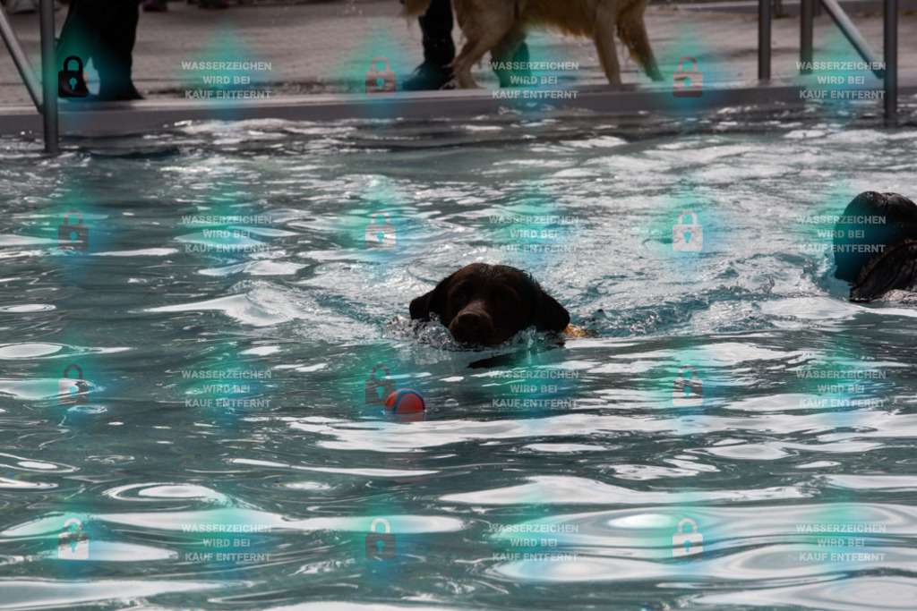 _HP_7574_1000o | HetPix, HetPix Fotodesign, Fotografie, Fotodesign, Webshop, Sportfotografie, Portraitfotografie, Onlineshop, Sportfotografie, Polch, Motorsportfotografie, Eventfotografie