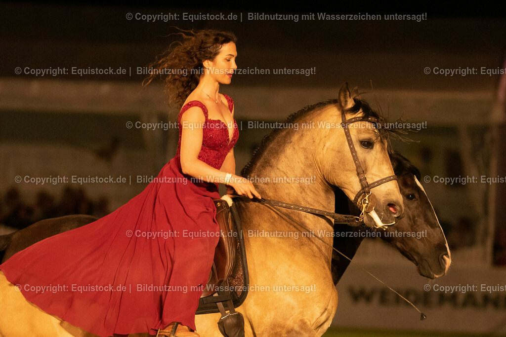 20230526_Pferdenacht_1405 | equistock