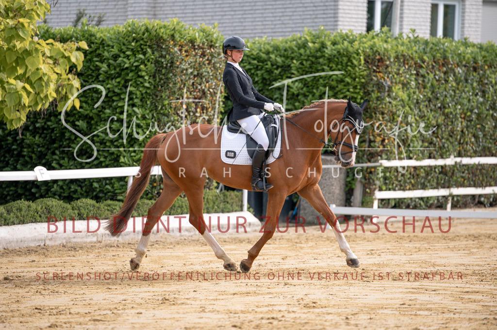 Schugtsche-Aluta25-40.DressurprfA_-110 | Schugtsche Fotografie - Realisiert mit Pictrs.com