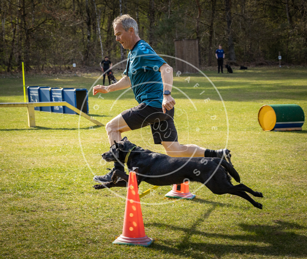 Pfotenfotografie_DV3A2851 | Hundefotografie, Tierfotograf, Pfotenfotografie, Fotoshooting Hund, Hunde Portrait, Hundesport, Hundeportraits, Heideshooting, Hunde, Sportfotograf, Hundefotograf, Turnierhundsport, THS,  - Realisiert mit Pictrs.com