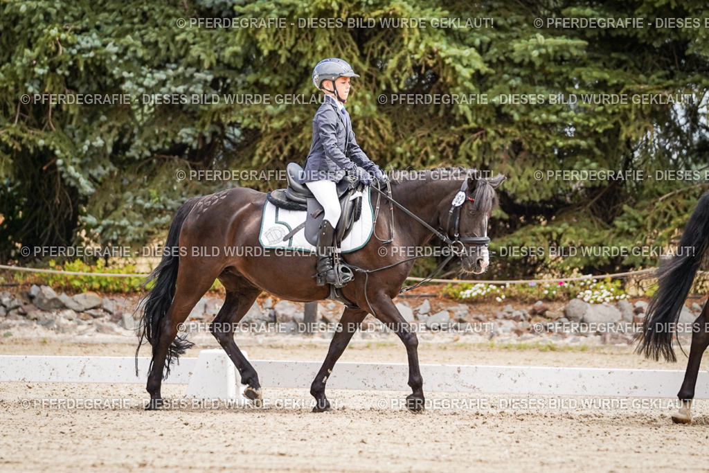 DSC02715 | Pferdegrafie