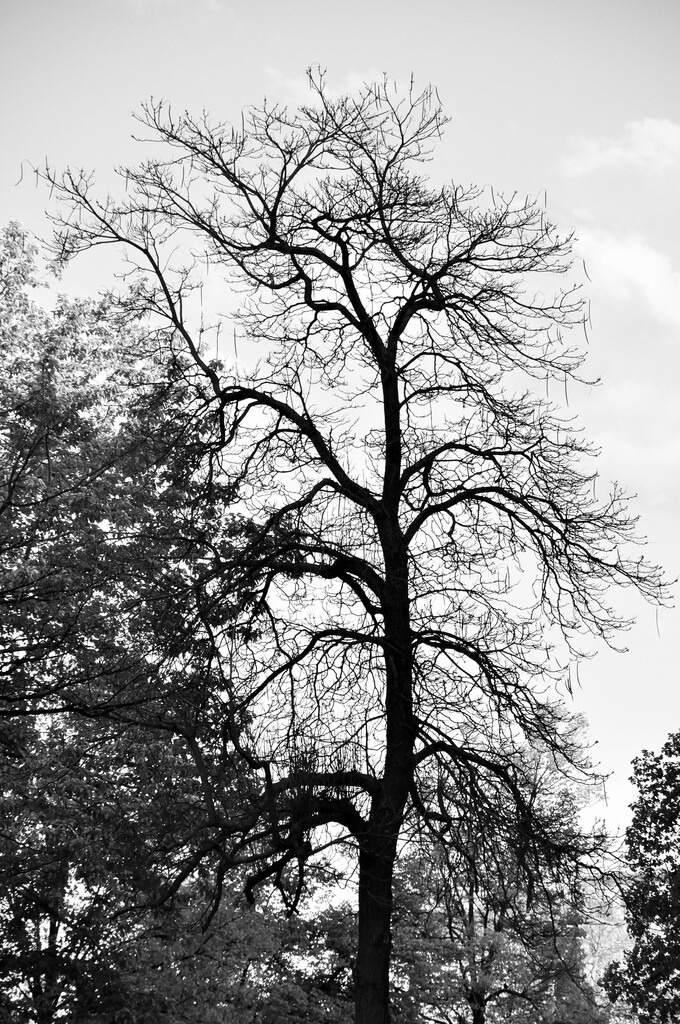 DSC_8987 (2) | Annaeherungen - Realisiert mit Pictrs.com
