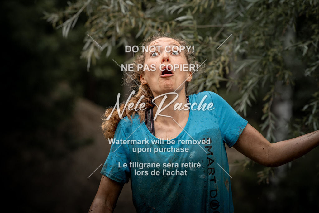 nelerasche_sa1430-1500_282 | nelerasche