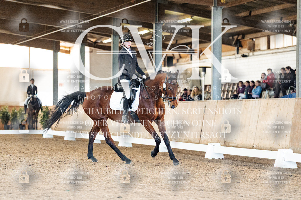 CK908725 | Turnierfotografie Pferdefotografie Trier Rheinland-Pfalz Pferdesport Reitsport Tierfotografie Sportfotografie Pferdevideo Pferdevideografie Equestrianvideography equestrianphotography  - Realisiert mit Pictrs.com