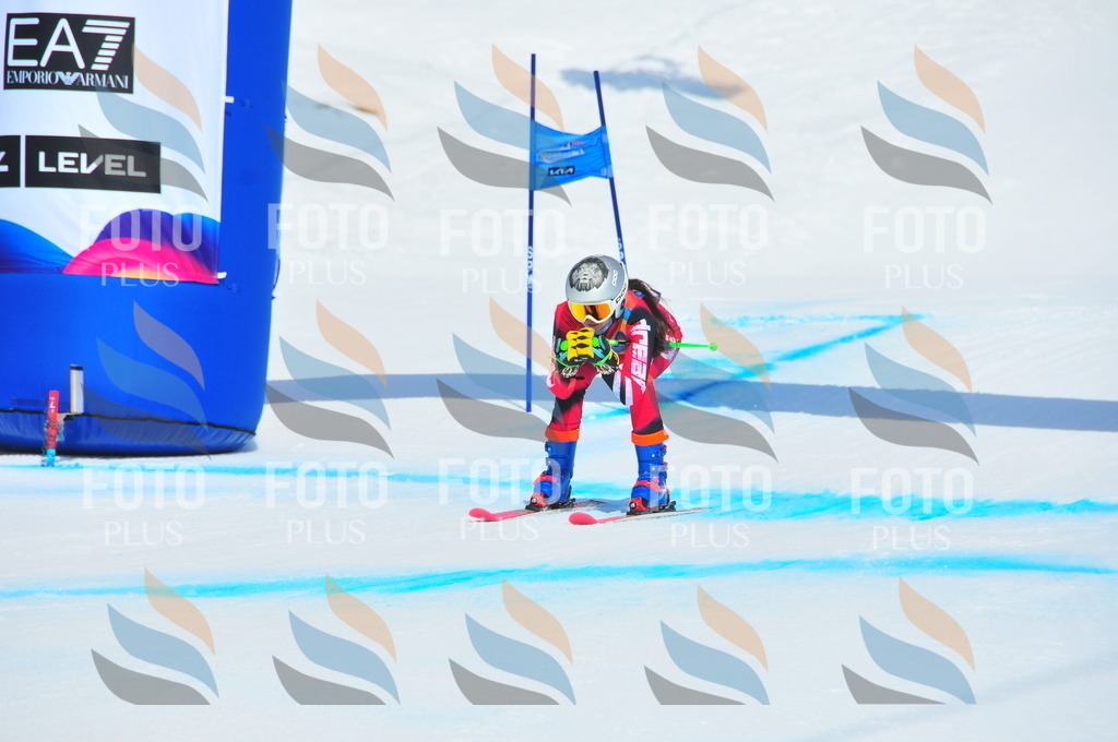 DSC_5354 | holidayphoto